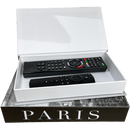 Kit Livros Decorativos Organizadores- Modelo Paris